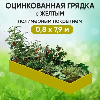 Грядка желтая (0,8 х 7,9)