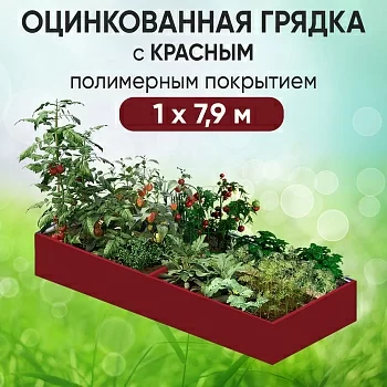 Грядка красная (1 х 7,9)