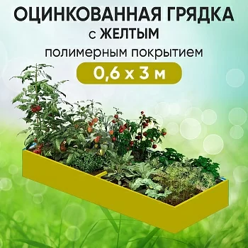 Грядка желтая (0,6 х 3)